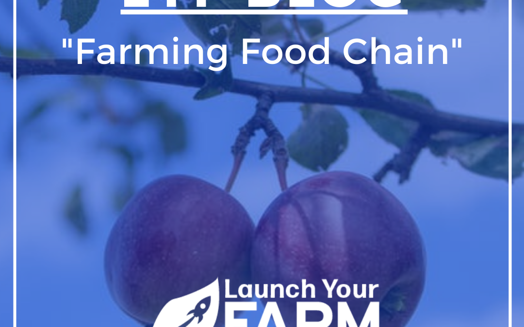 The Farming Food Chain – The Future Of Farming