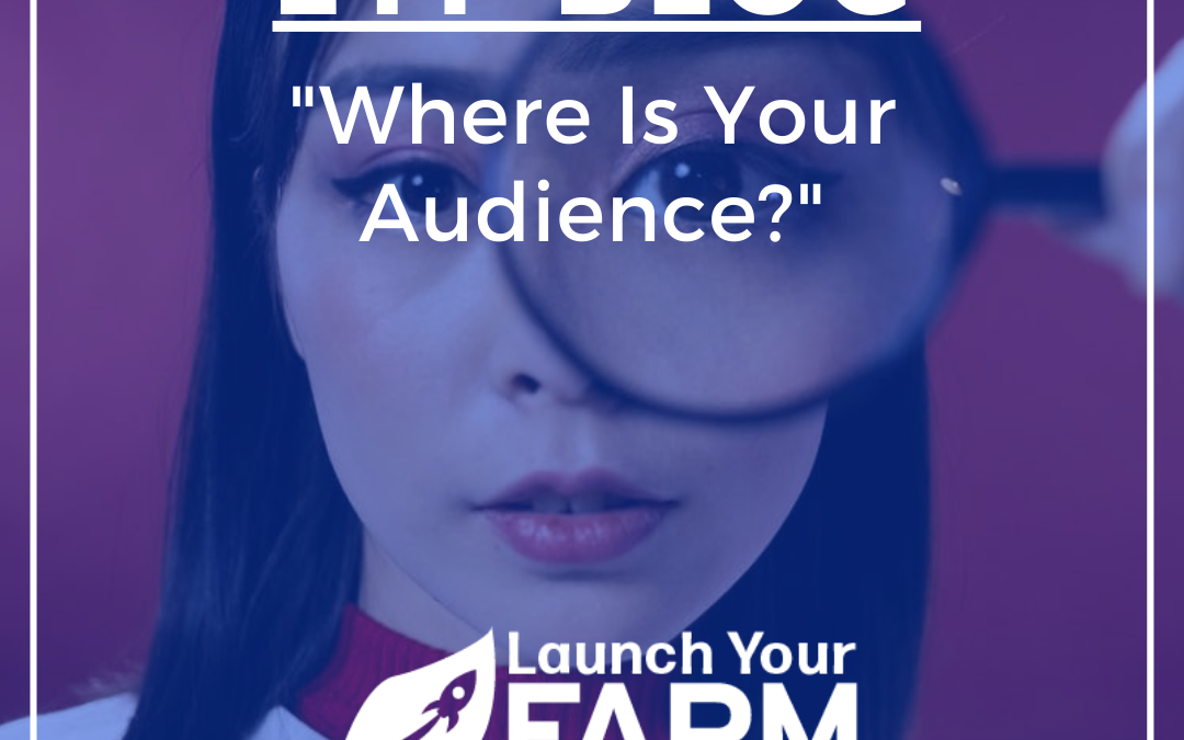 Where is your audience?