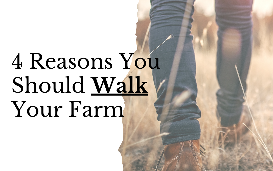 4 Reasons You Should Walk Your Farm!