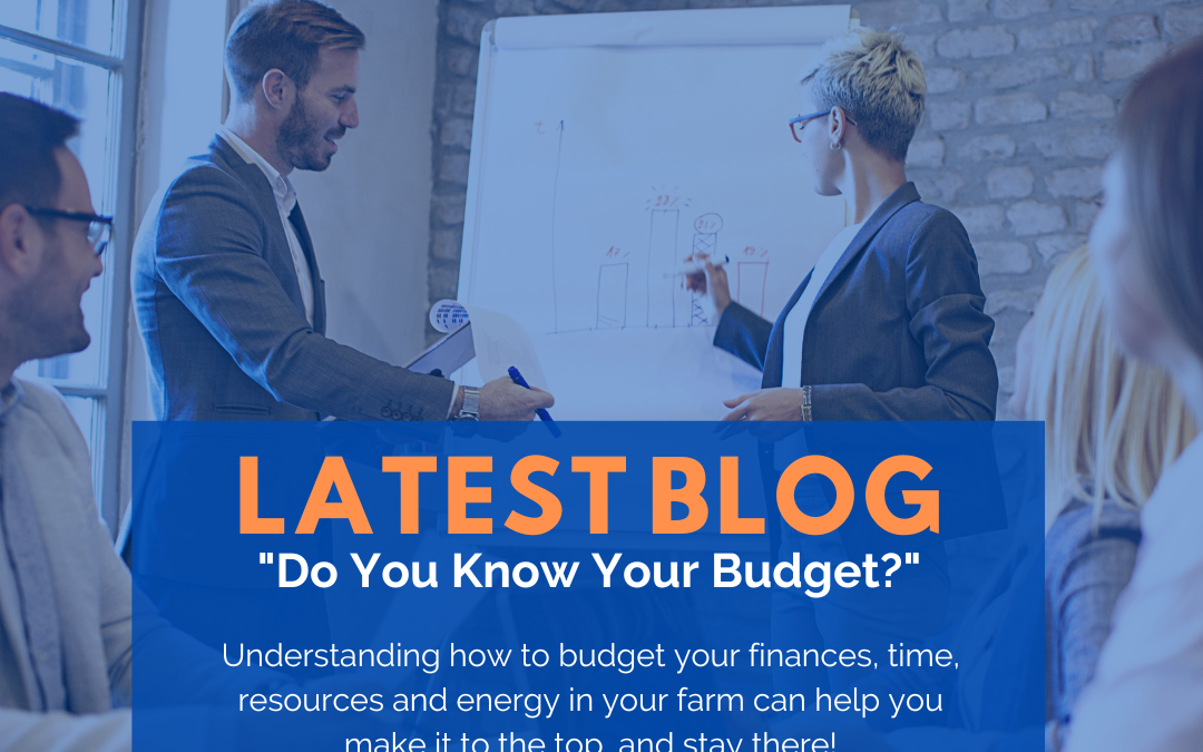 Your Budget Blog - Launch Your Farm